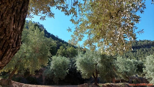 1 quarto Quinta/Casa Rural para venda em Fuentespalda - 47 000 € (Ref: 8423712)