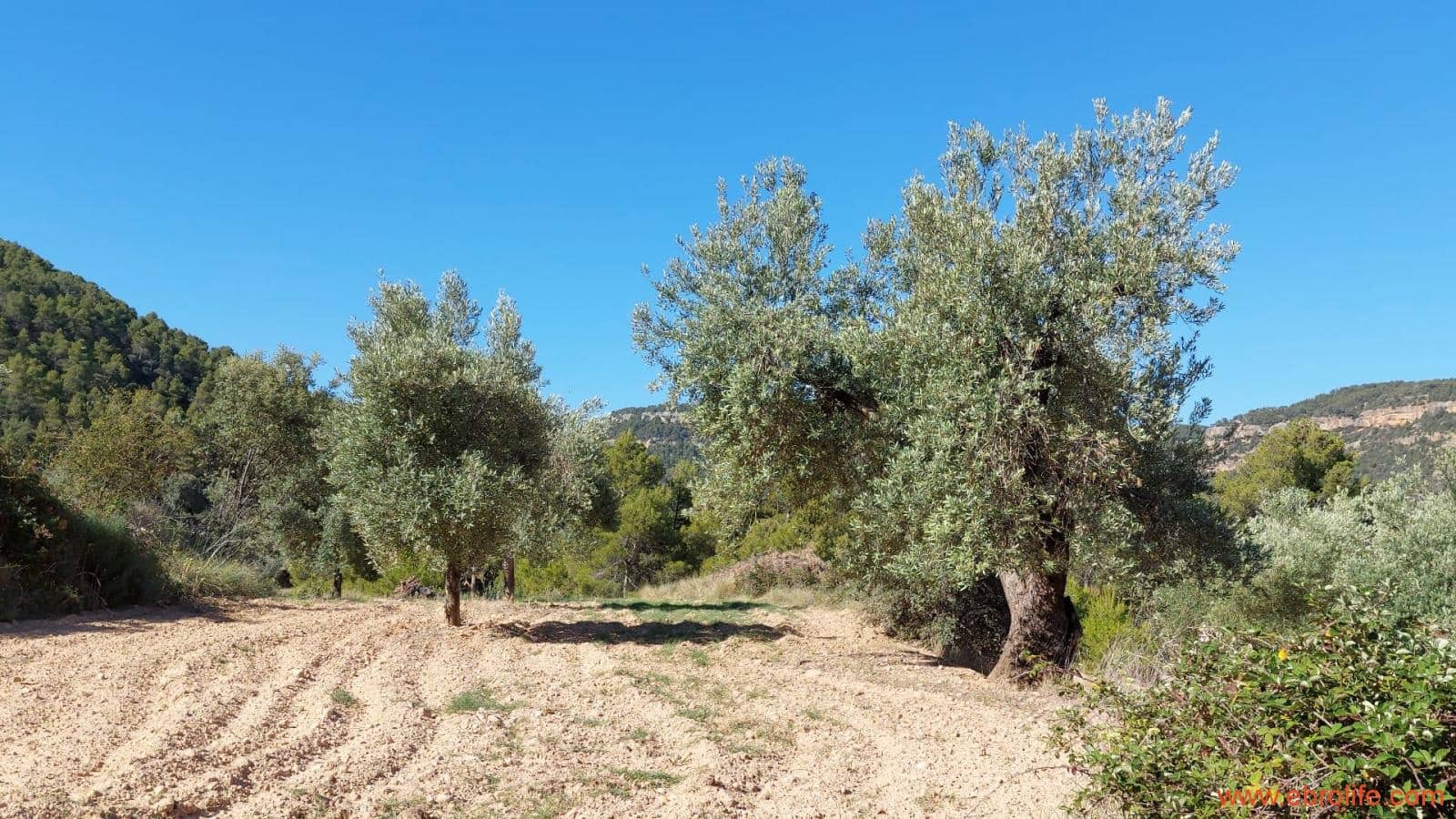 1 bedroom Finca/Country House for sale in Fuentespalda - € 47,000 (Ref: 8423712)