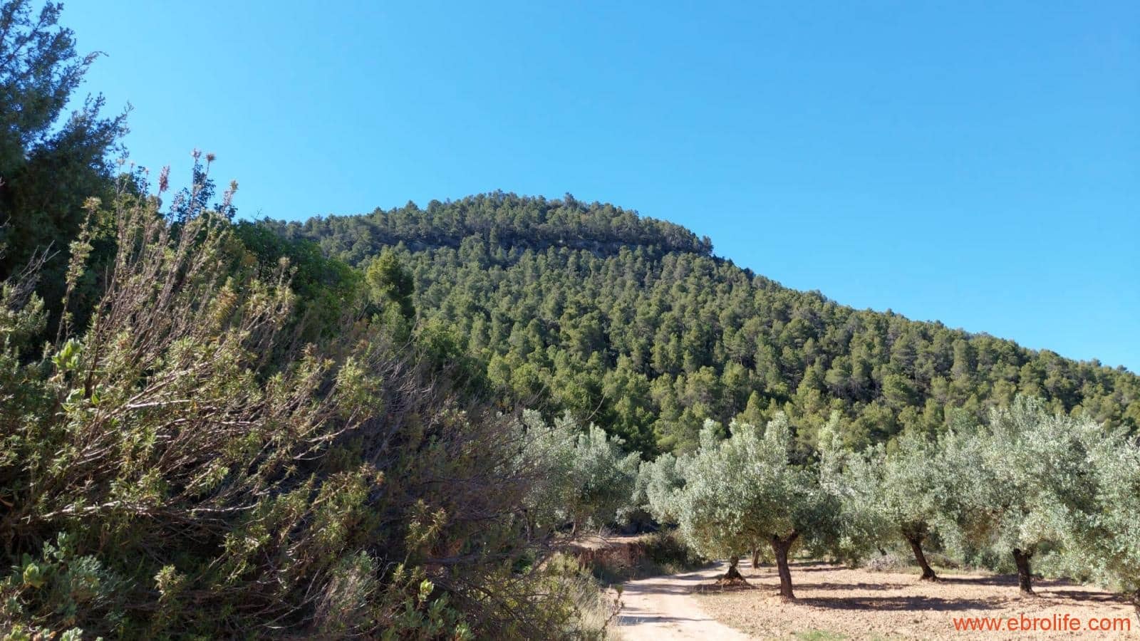 1 bedroom Finca/Country House for sale in Fuentespalda - € 47,000 (Ref: 8423712)