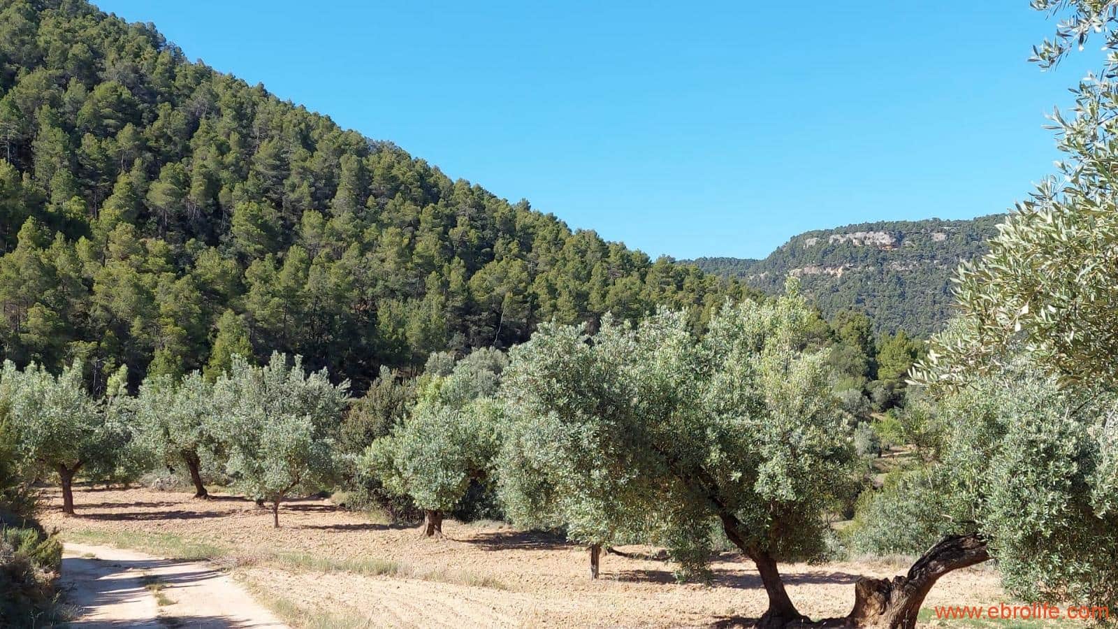 1 bedroom Finca/Country House for sale in Fuentespalda - € 47,000 (Ref: 8423712)