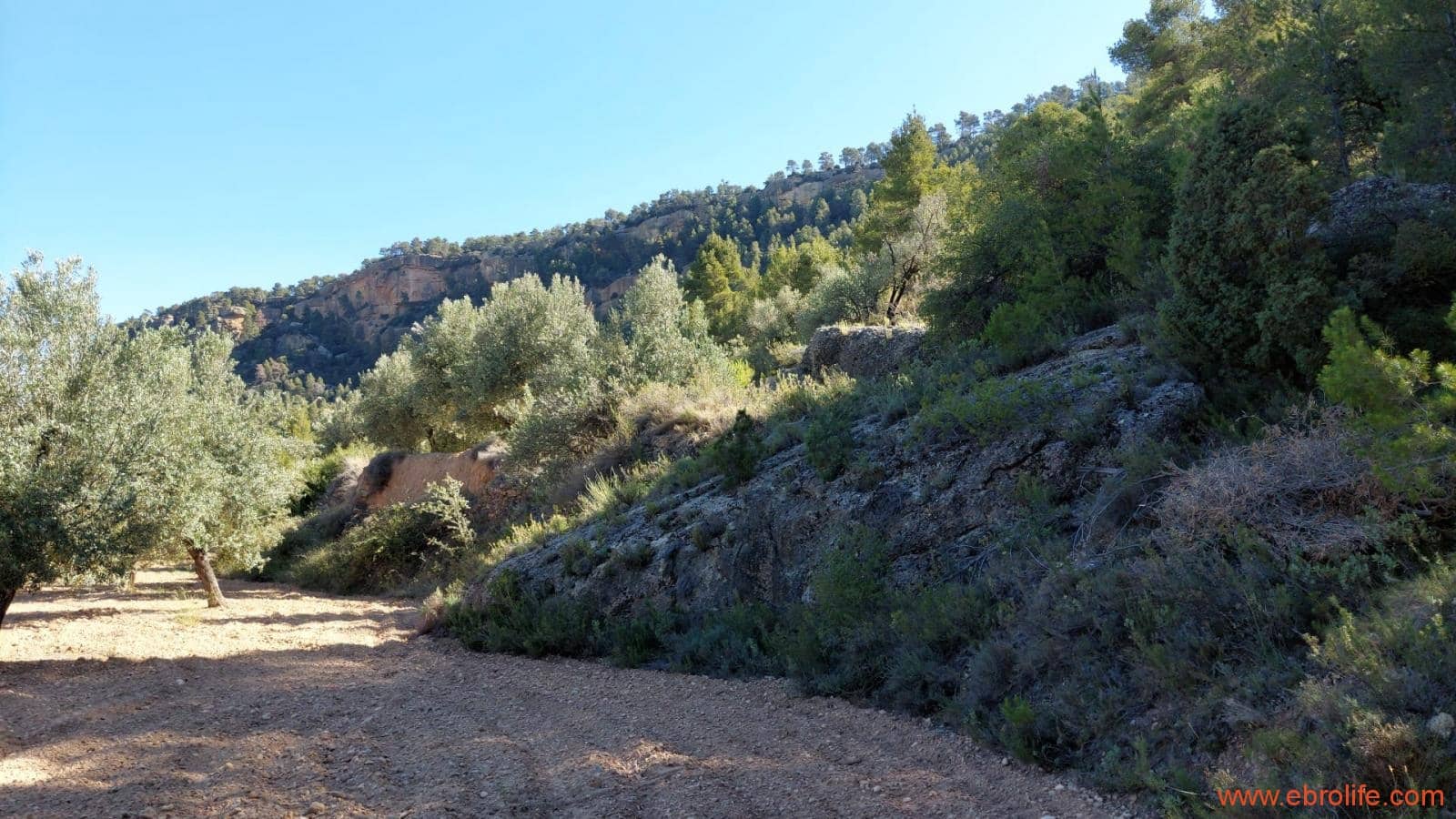 1 bedroom Finca/Country House for sale in Fuentespalda - € 47,000 (Ref: 8423712)