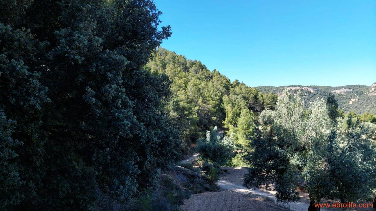 1 bedroom Finca/Country House for sale in Fuentespalda - € 47,000 (Ref: 8423712)