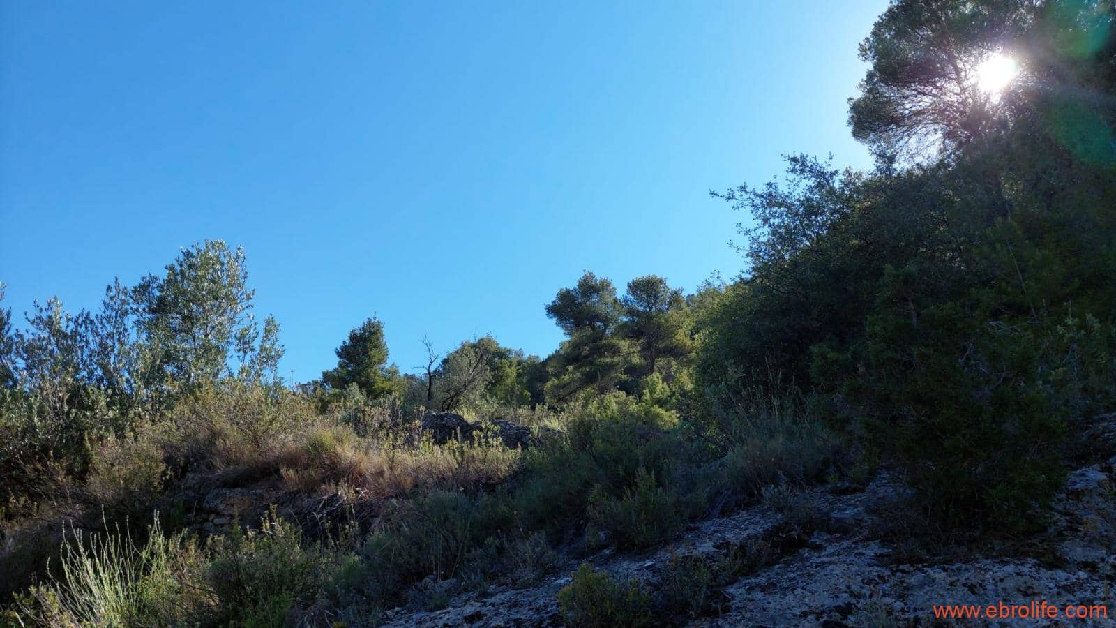 1 bedroom Finca/Country House for sale in Fuentespalda - € 47,000 (Ref: 8423712)