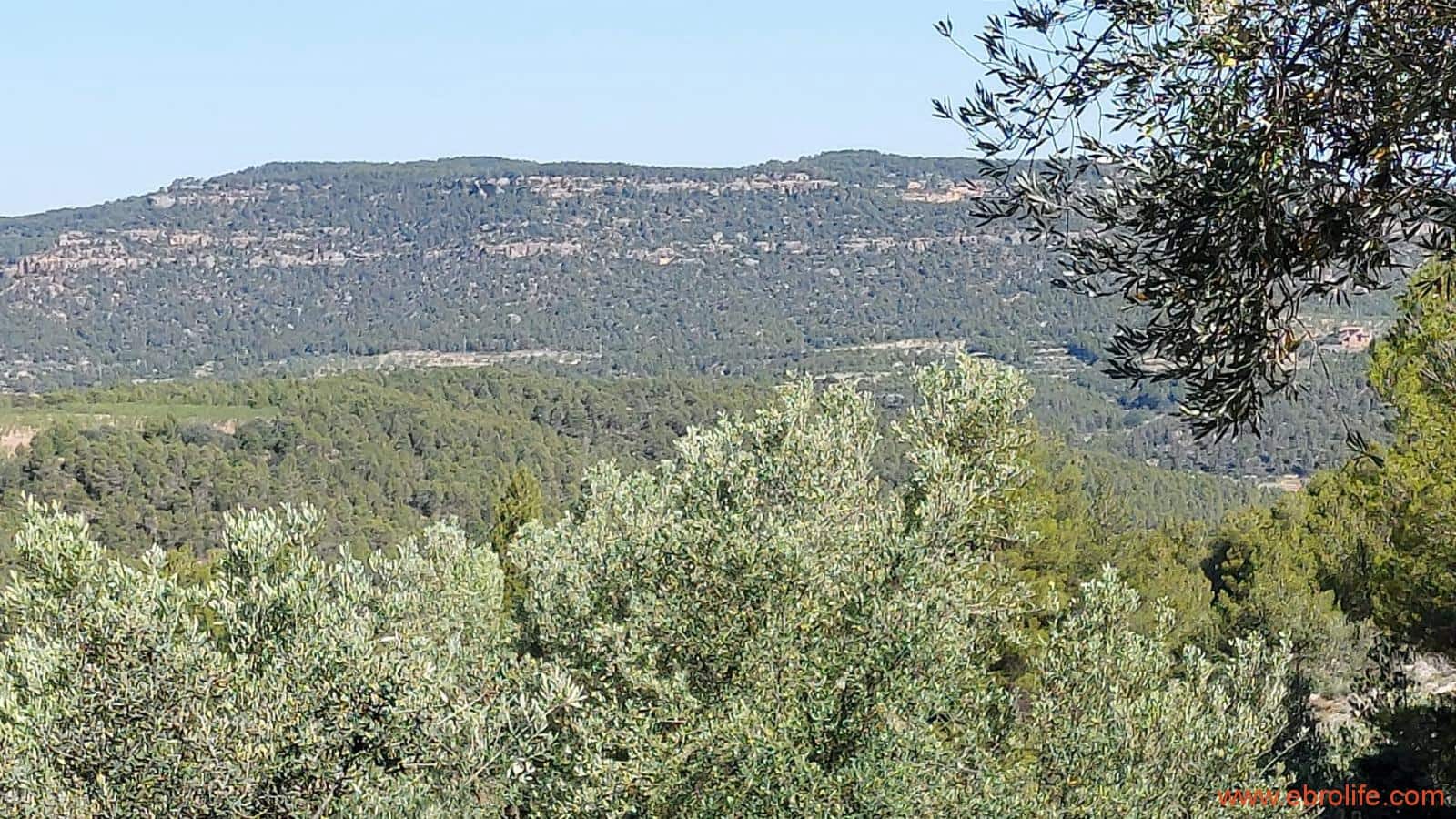 1 bedroom Finca/Country House for sale in Fuentespalda - € 47,000 (Ref: 8423712)