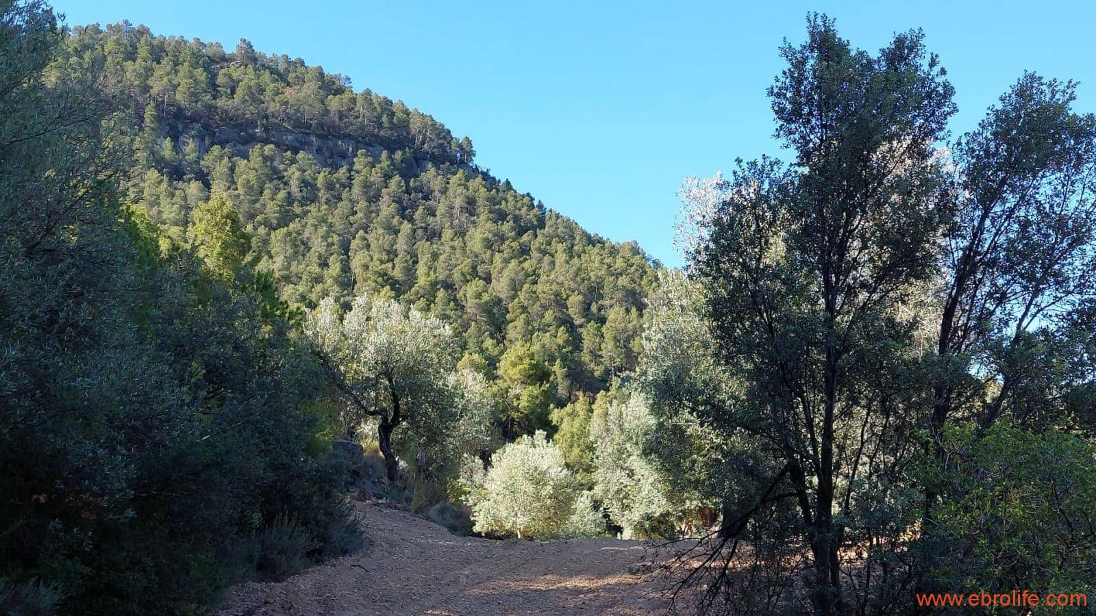 1 bedroom Finca/Country House for sale in Fuentespalda - € 47,000 (Ref: 8423712)