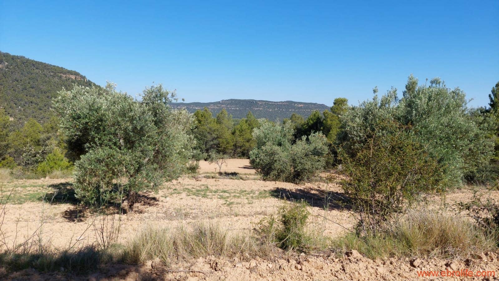 1 bedroom Finca/Country House for sale in Fuentespalda - € 47,000 (Ref: 8423712)