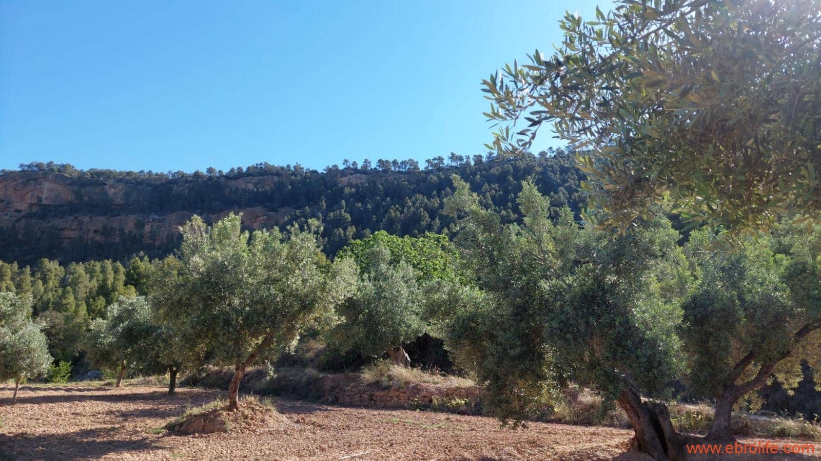 1 bedroom Finca/Country House for sale in Fuentespalda - € 47,000 (Ref: 8423712)