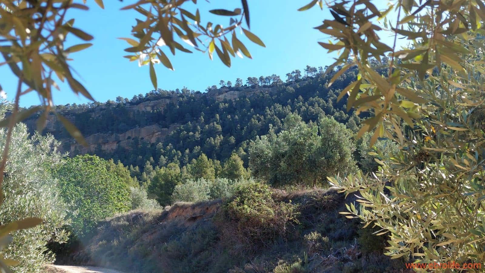 1 bedroom Finca/Country House for sale in Fuentespalda - € 47,000 (Ref: 8423712)