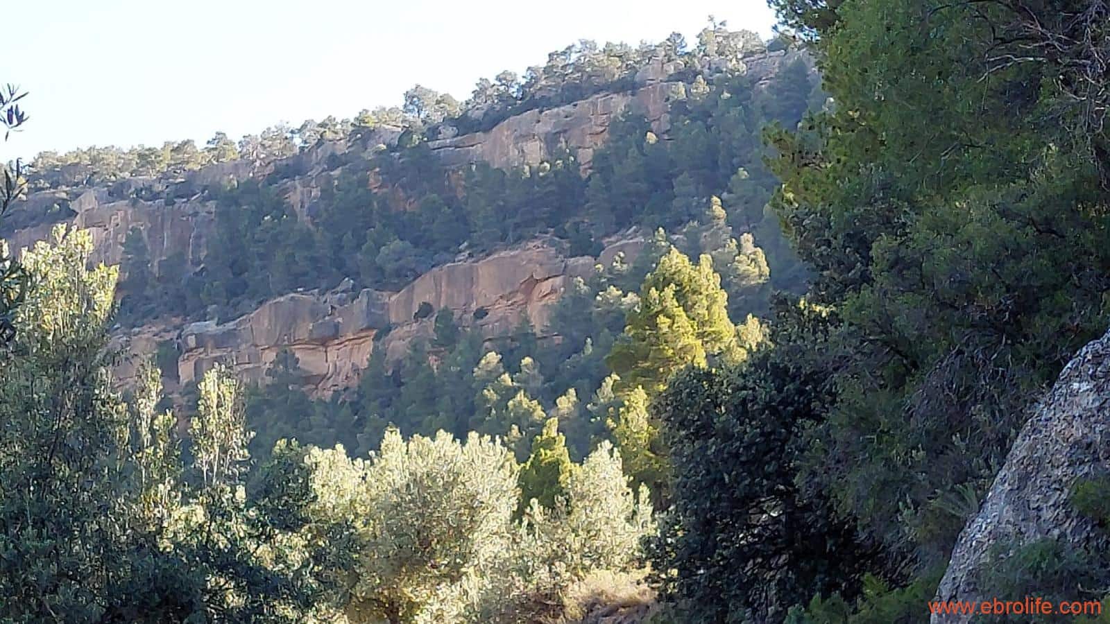 1 bedroom Finca/Country House for sale in Fuentespalda - € 47,000 (Ref: 8423712)