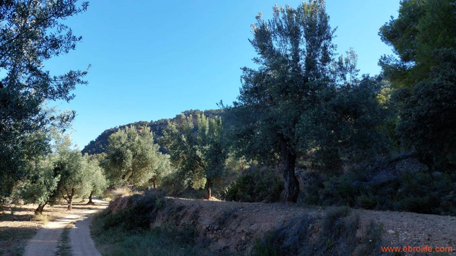 1 bedroom Finca/Country House for sale in Fuentespalda - € 47,000 (Ref: 8423712)