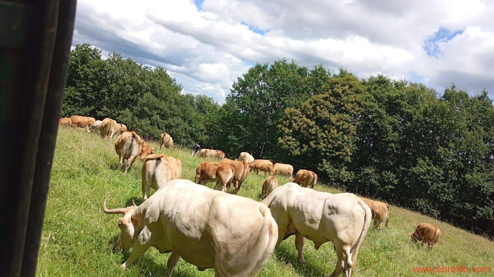 1 bedroom Finca/Country House for sale in Fuentespalda - € 47,000 (Ref: 8423712)