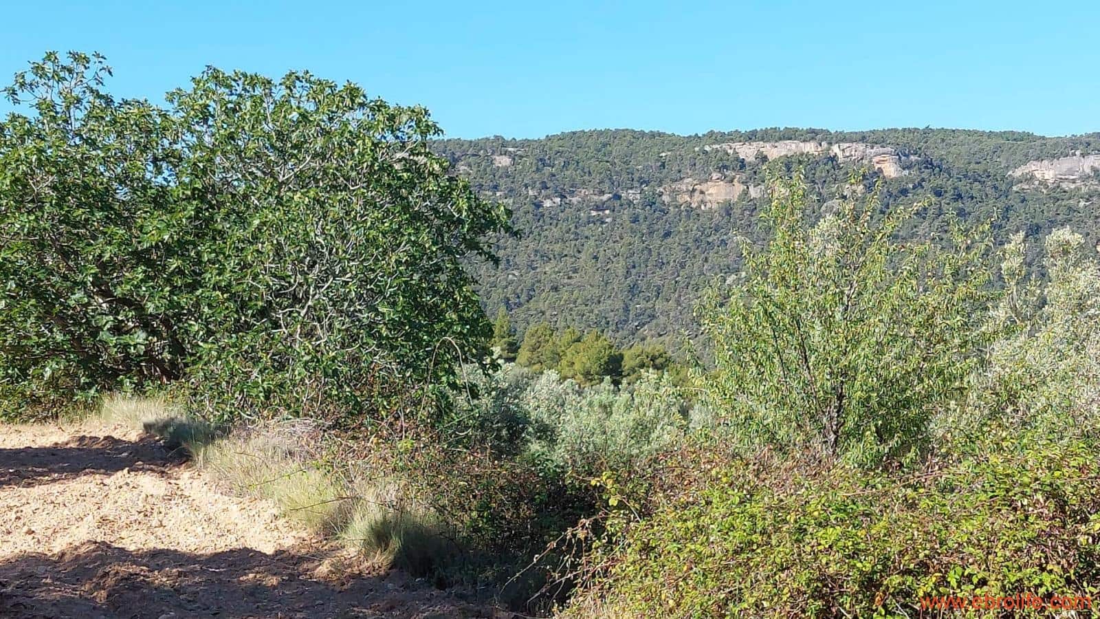 1 bedroom Finca/Country House for sale in Fuentespalda - € 47,000 (Ref: 8423712)