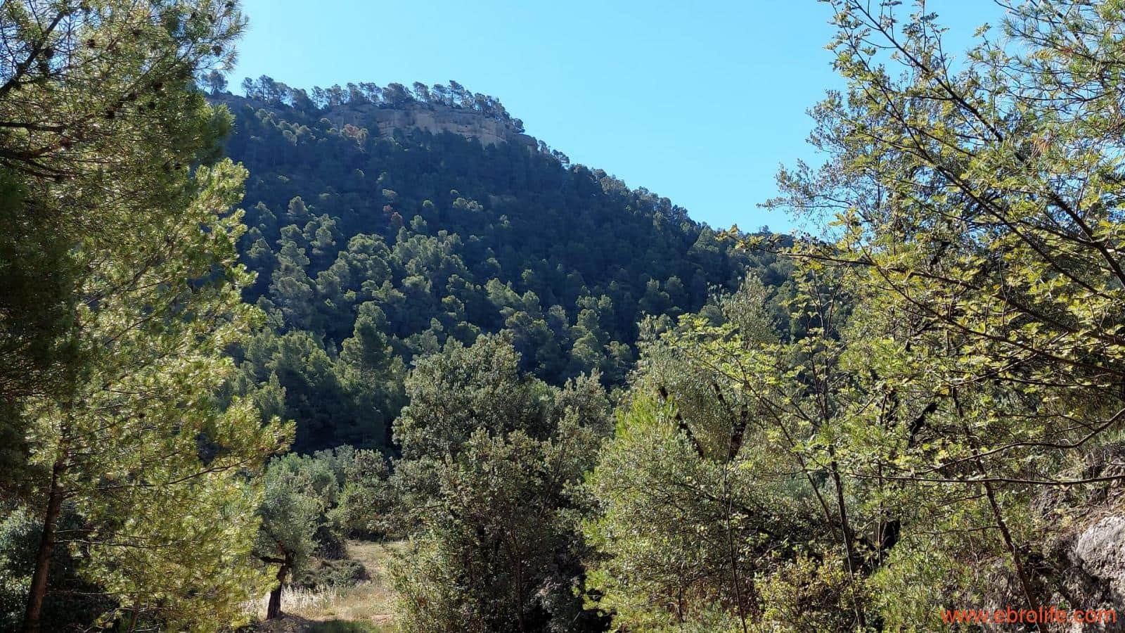 1 bedroom Finca/Country House for sale in Fuentespalda - € 47,000 (Ref: 8423712)