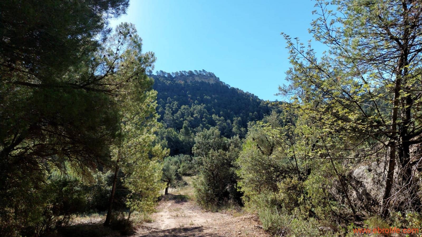 1 bedroom Finca/Country House for sale in Fuentespalda - € 47,000 (Ref: 8423712)