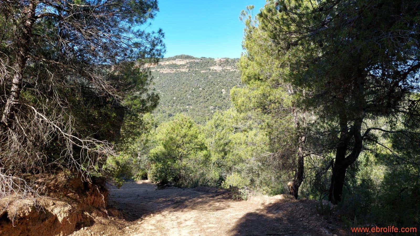 1 bedroom Finca/Country House for sale in Fuentespalda - € 47,000 (Ref: 8423712)