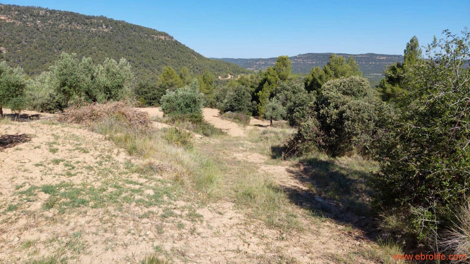 1 bedroom Finca/Country House for sale in Fuentespalda - € 47,000 (Ref: 8423712)