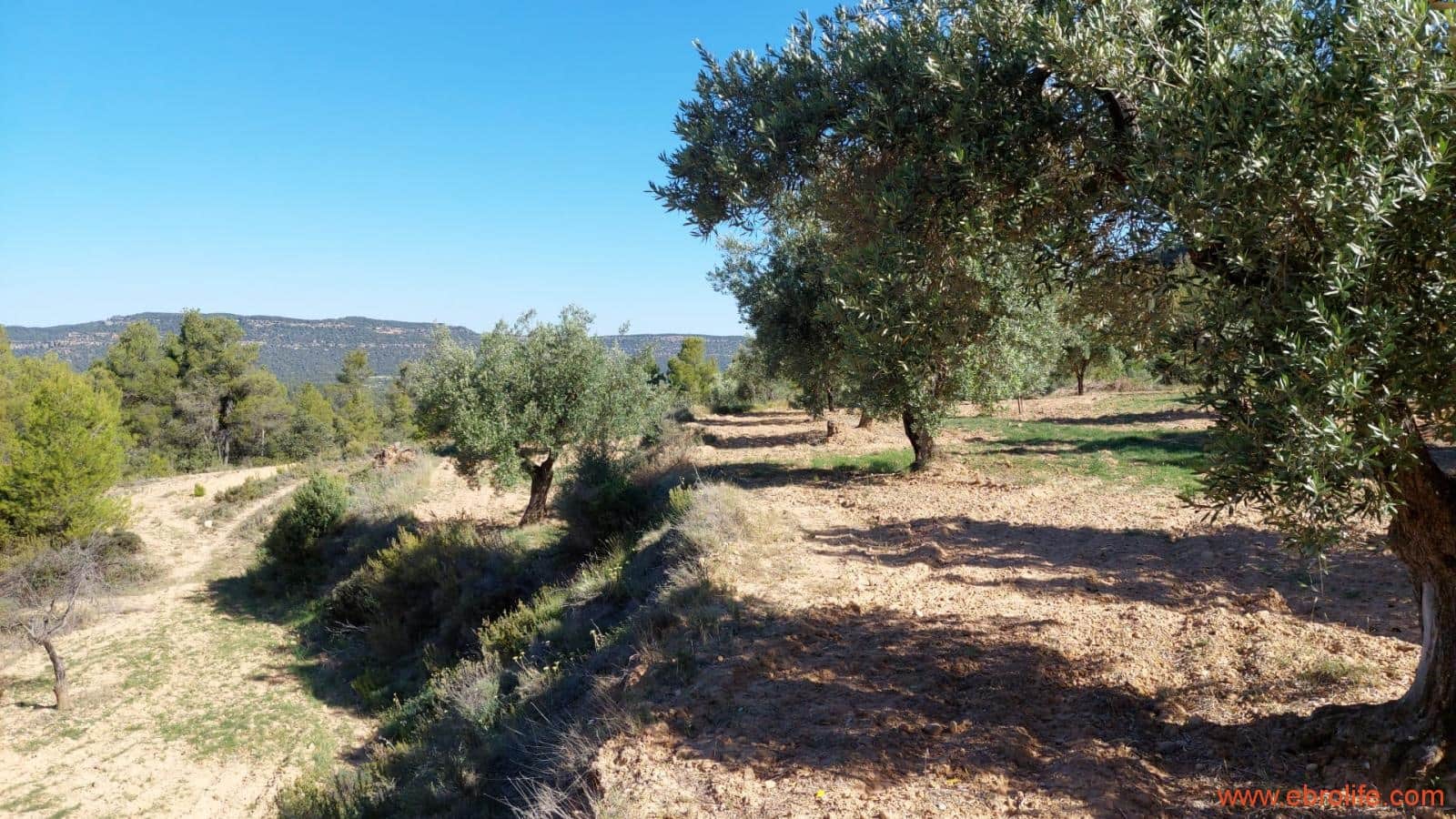 1 bedroom Finca/Country House for sale in Fuentespalda - € 47,000 (Ref: 8423712)