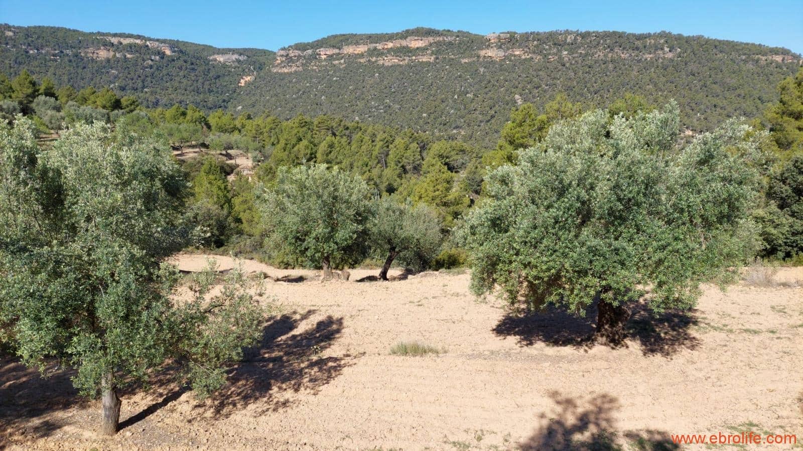 1 bedroom Finca/Country House for sale in Fuentespalda - € 47,000 (Ref: 8423712)