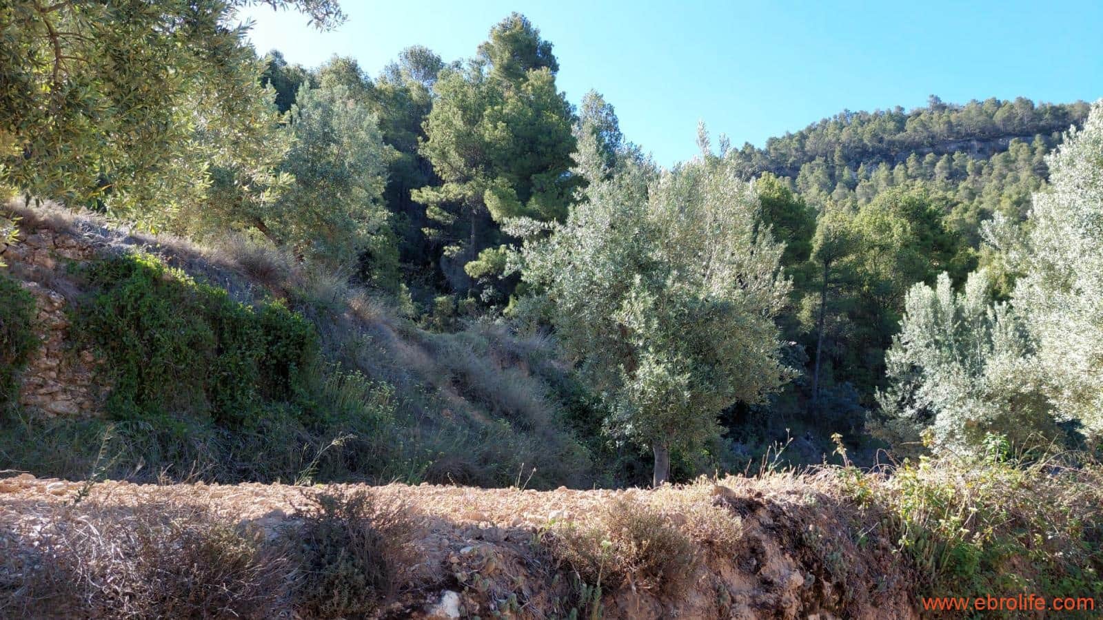 1 bedroom Finca/Country House for sale in Fuentespalda - € 47,000 (Ref: 8423712)