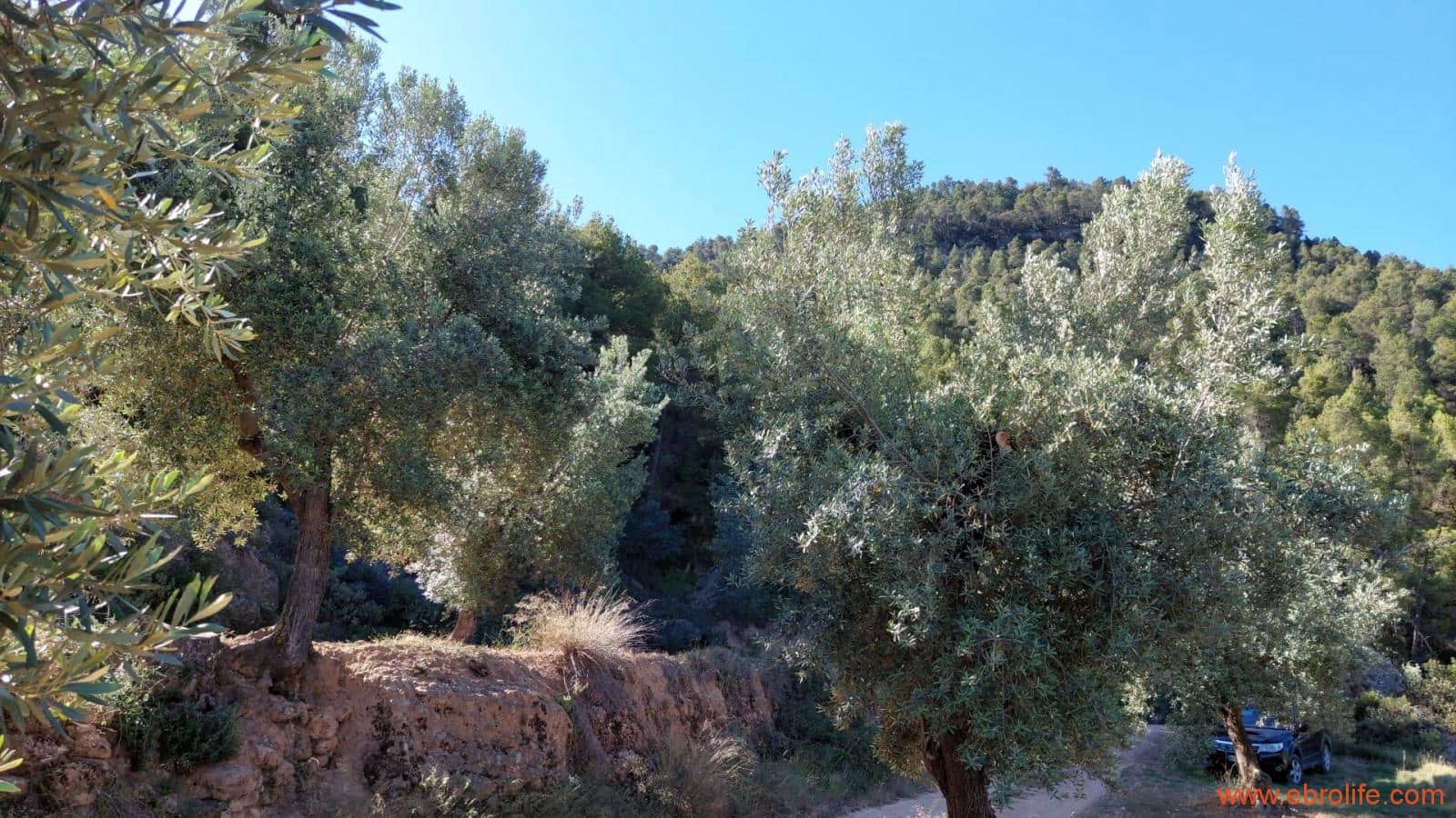 1 bedroom Finca/Country House for sale in Fuentespalda - € 47,000 (Ref: 8423712)