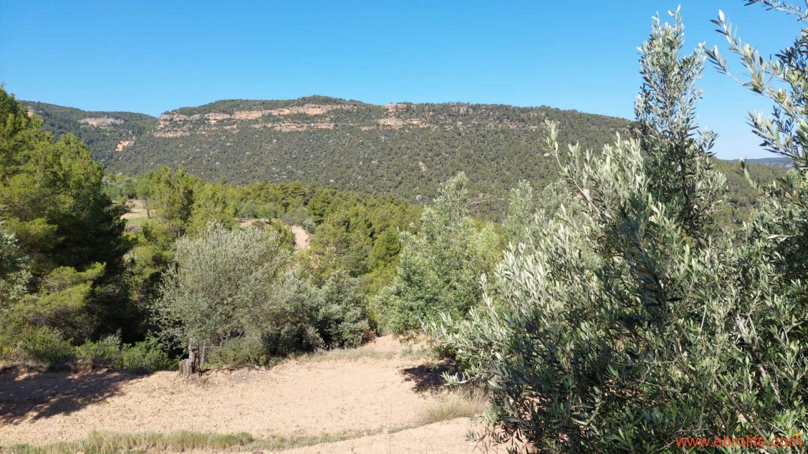 1 bedroom Finca/Country House for sale in Fuentespalda - € 47,000 (Ref: 8423712)