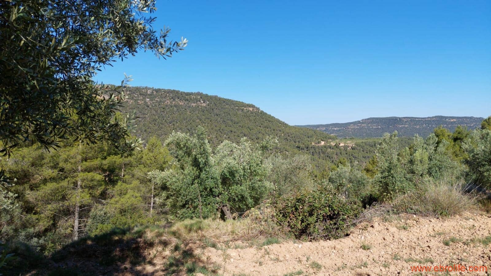 1 bedroom Finca/Country House for sale in Fuentespalda - € 47,000 (Ref: 8423712)