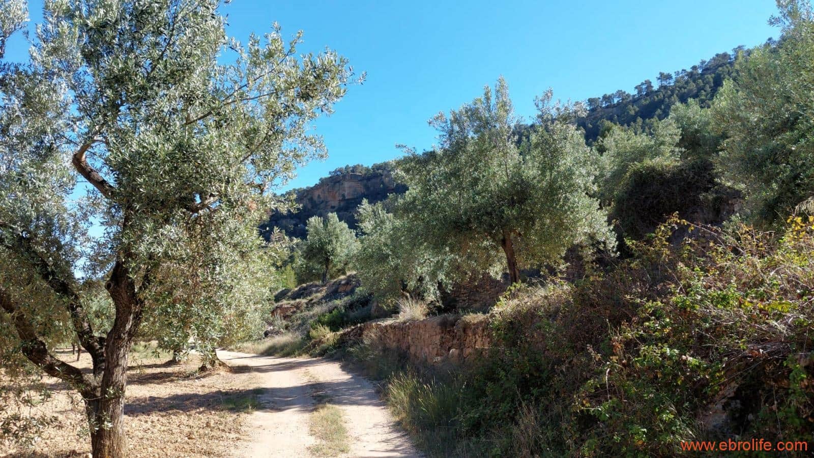 1 bedroom Finca/Country House for sale in Fuentespalda - € 47,000 (Ref: 8423712)