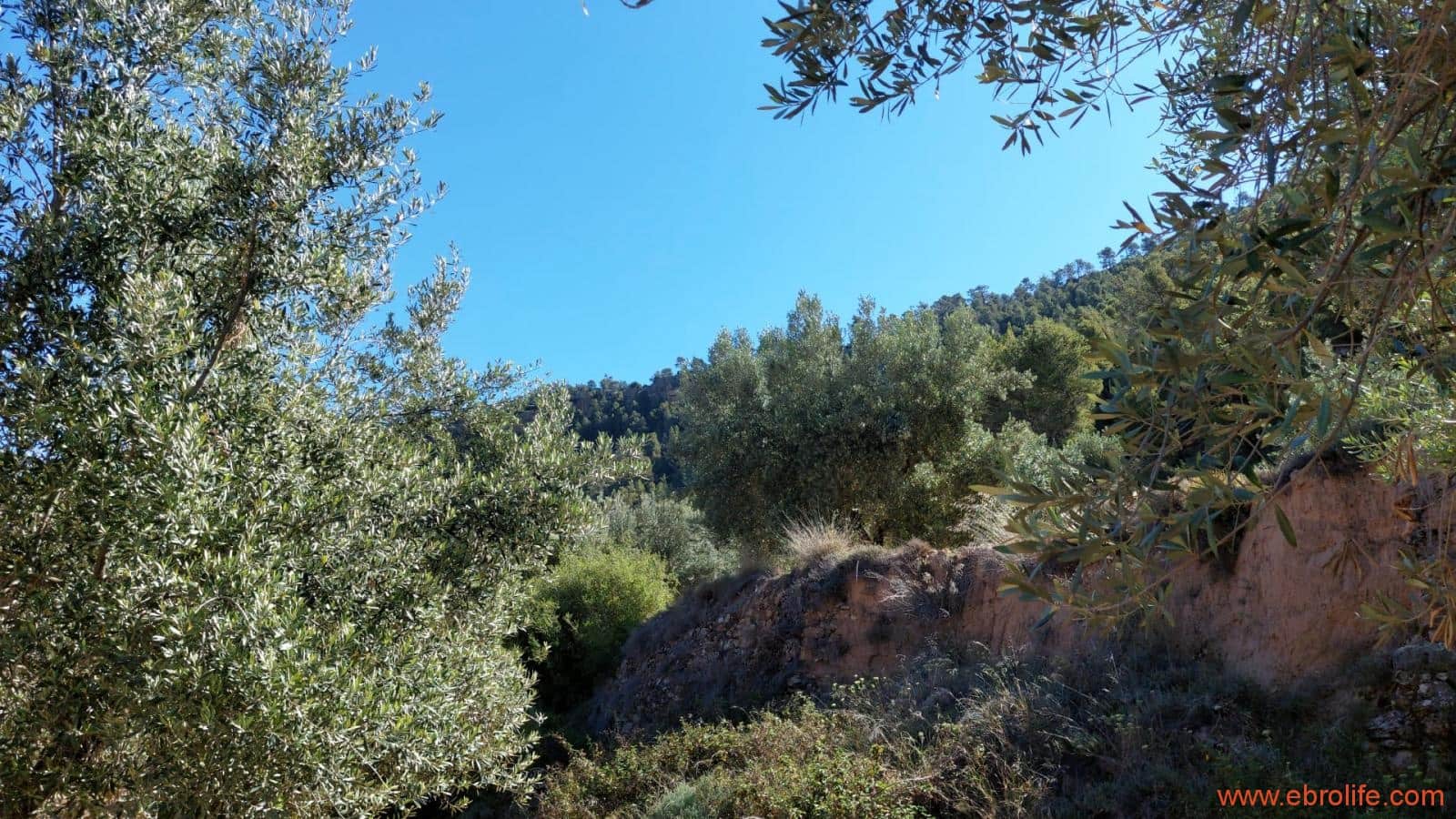 1 bedroom Finca/Country House for sale in Fuentespalda - € 47,000 (Ref: 8423712)