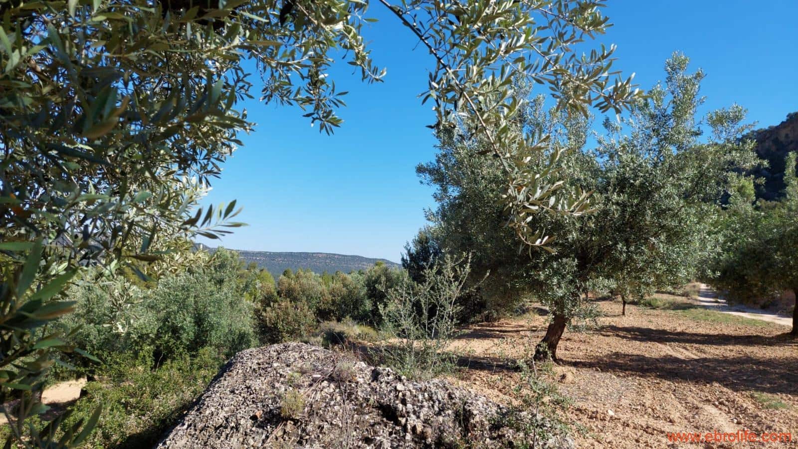 1 bedroom Finca/Country House for sale in Fuentespalda - € 47,000 (Ref: 8423712)