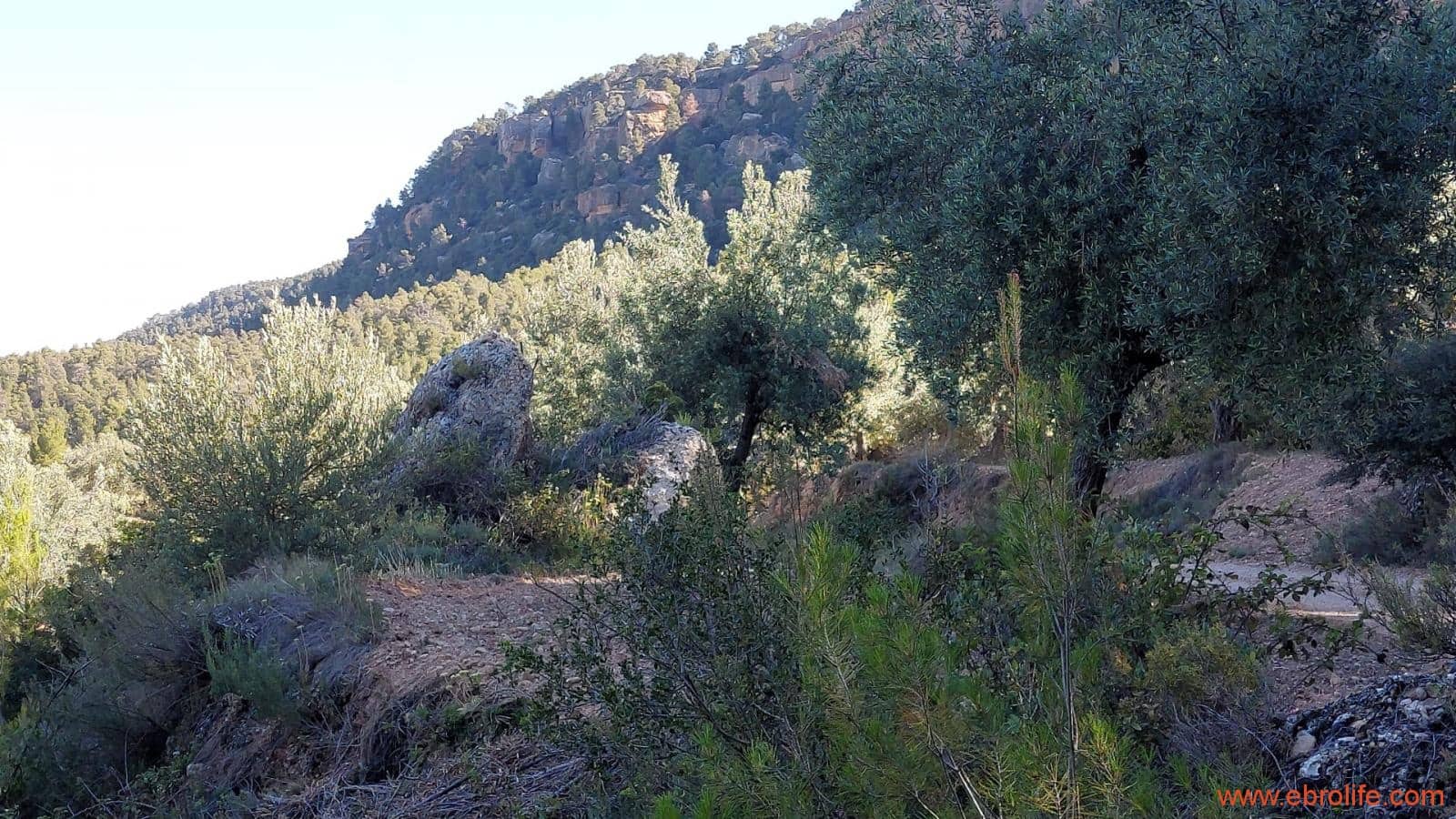 1 bedroom Finca/Country House for sale in Fuentespalda - € 47,000 (Ref: 8423712)