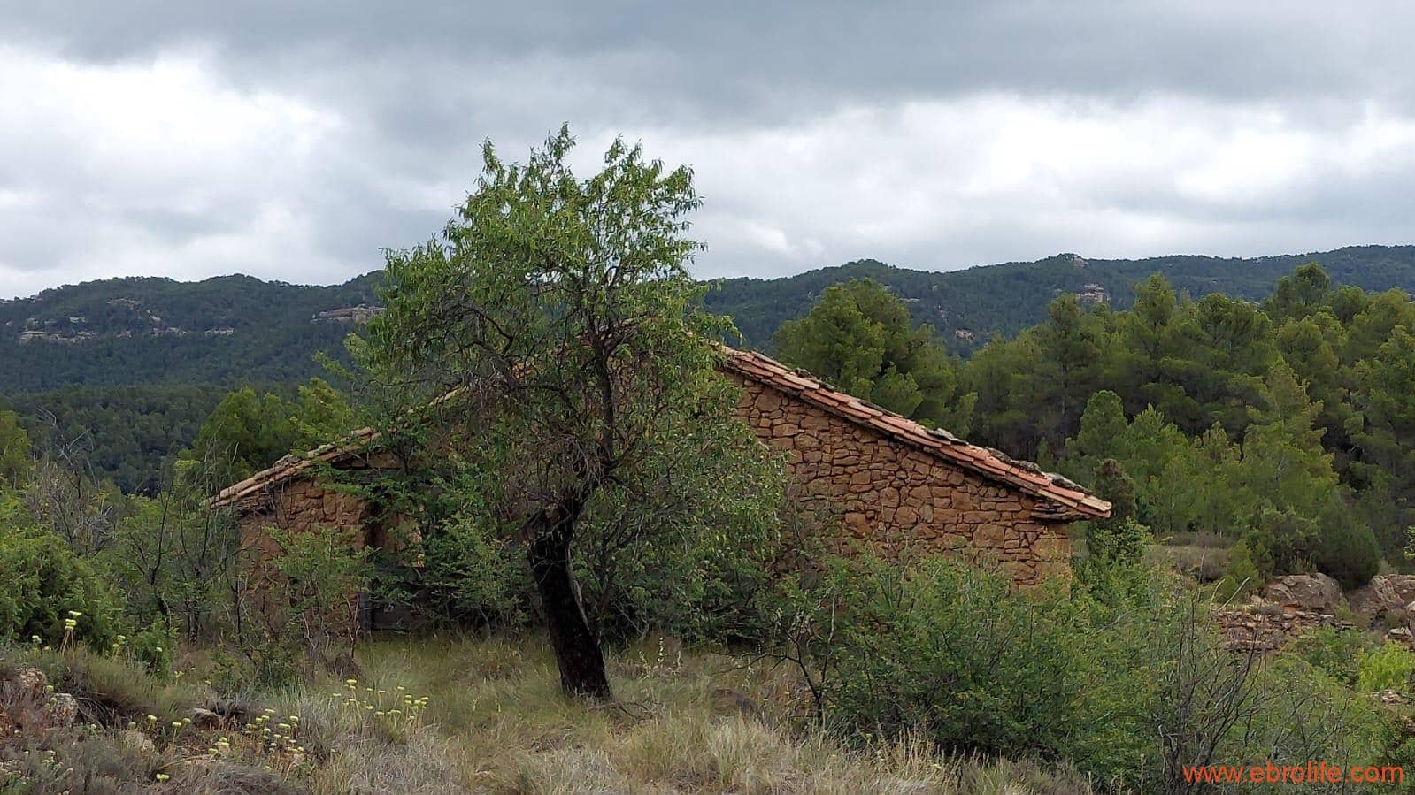 1 bedroom Finca/Country House for sale in Monroyo - € 390,000 (Ref: 8433718)