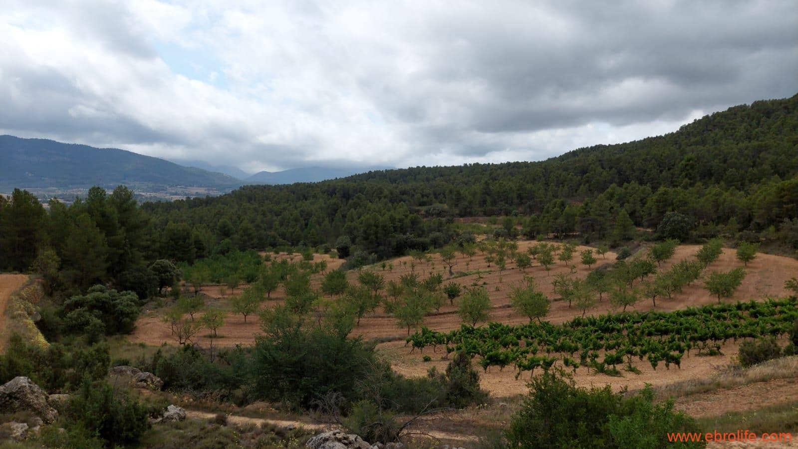 1 bedroom Finca/Country House for sale in Monroyo - € 390,000 (Ref: 8433718)