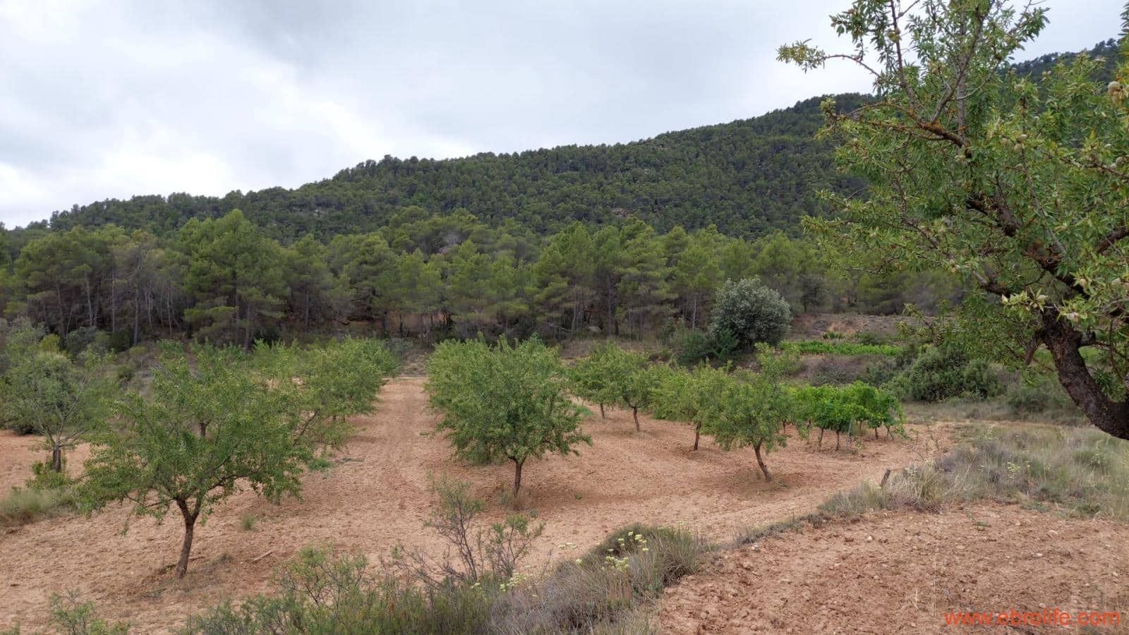 1 bedroom Finca/Country House for sale in Monroyo - € 390,000 (Ref: 8433718)