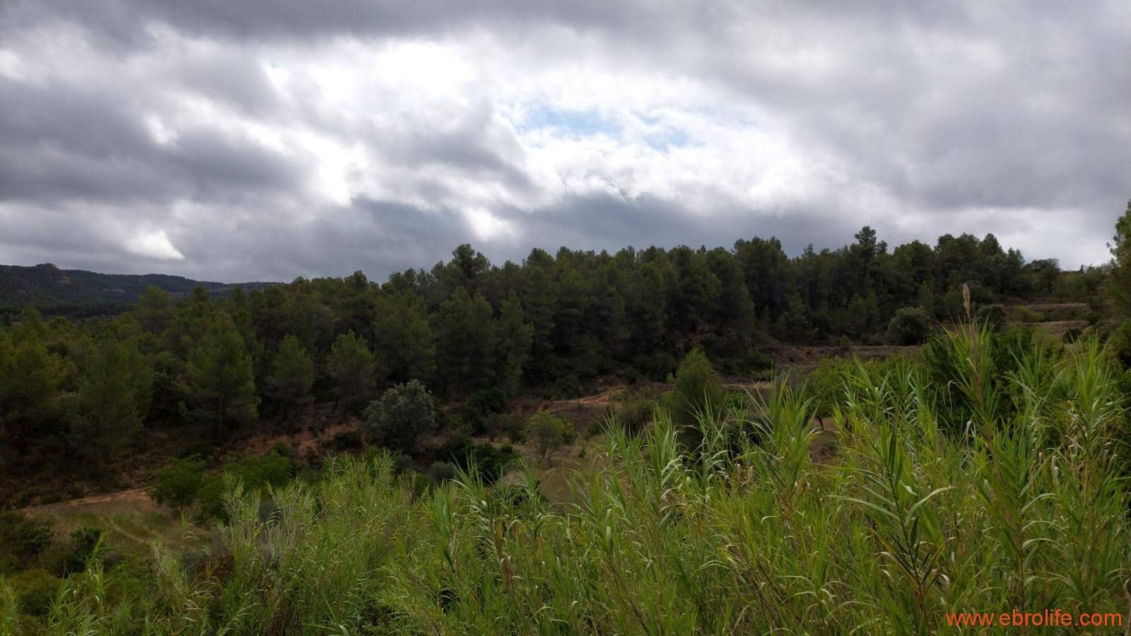 1 bedroom Finca/Country House for sale in Monroyo - € 390,000 (Ref: 8433718)