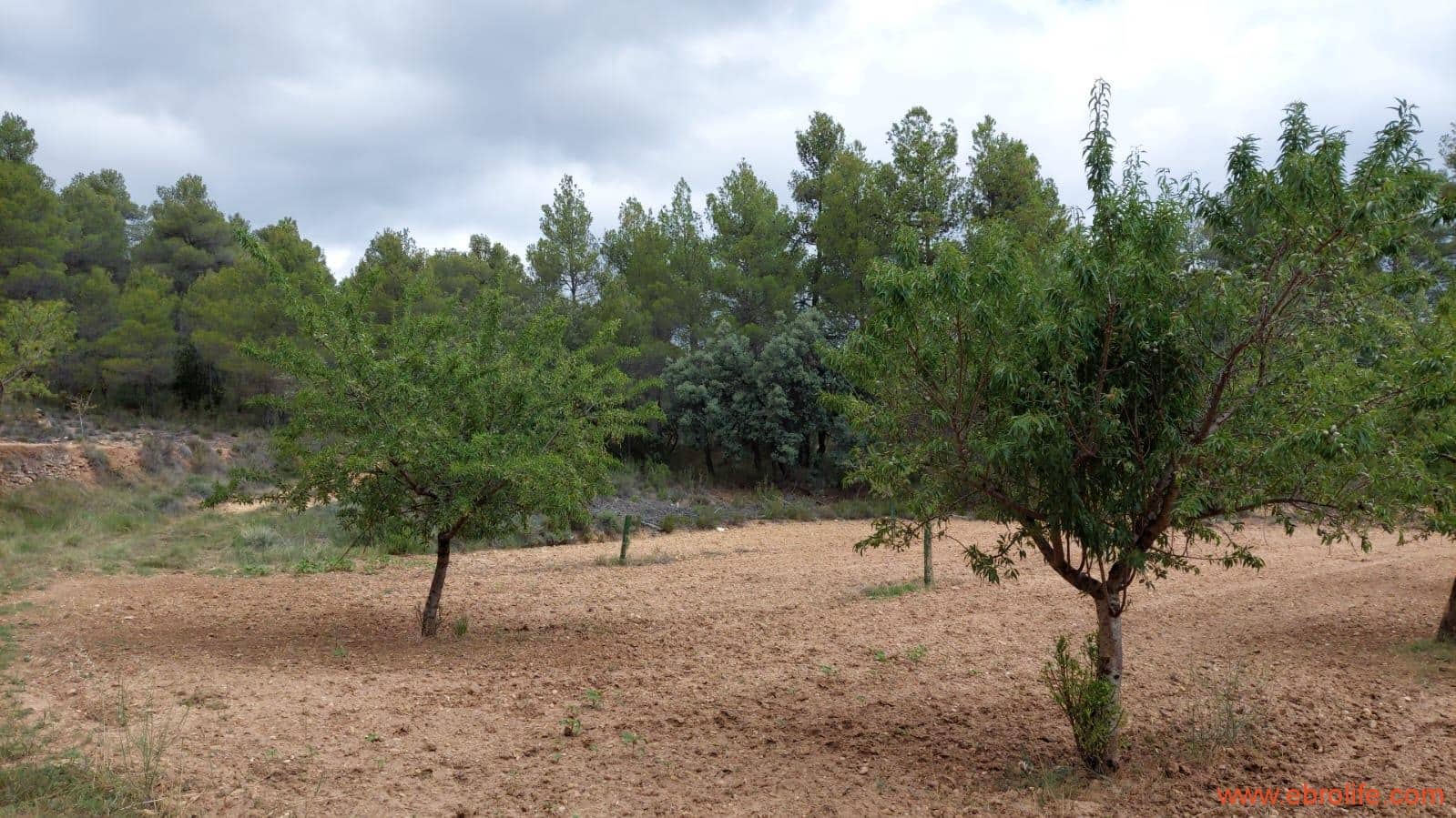 1 bedroom Finca/Country House for sale in Monroyo - € 390,000 (Ref: 8433718)