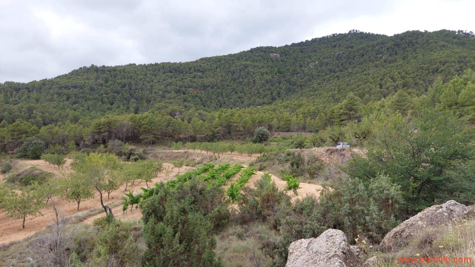 1 bedroom Finca/Country House for sale in Monroyo - € 390,000 (Ref: 8433718)