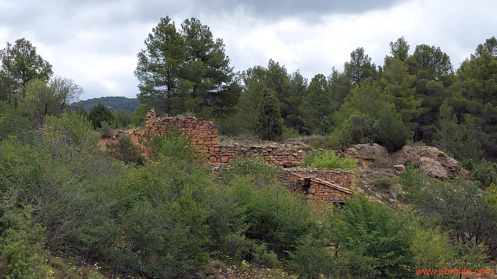 1 bedroom Finca/Country House for sale in Monroyo - € 390,000 (Ref: 8433718)