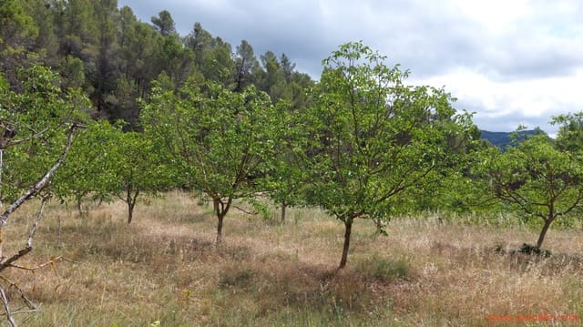 1 quarto Quinta/Casa Rural para venda em Monroyo - 390 000 € (Ref: 8433718)