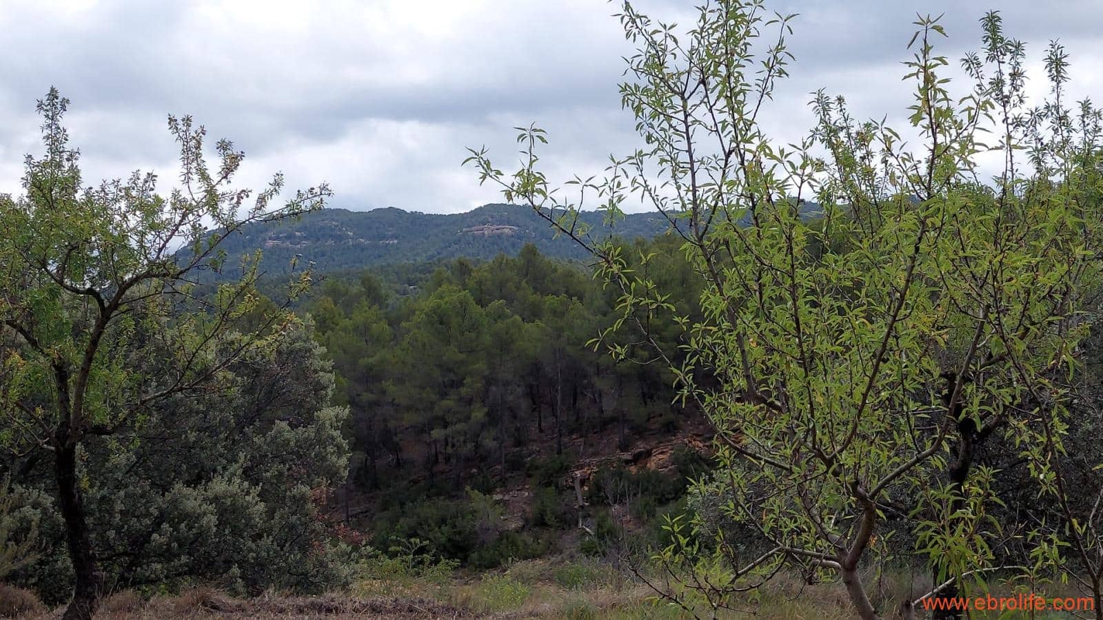 1 bedroom Finca/Country House for sale in Monroyo - € 390,000 (Ref: 8433718)