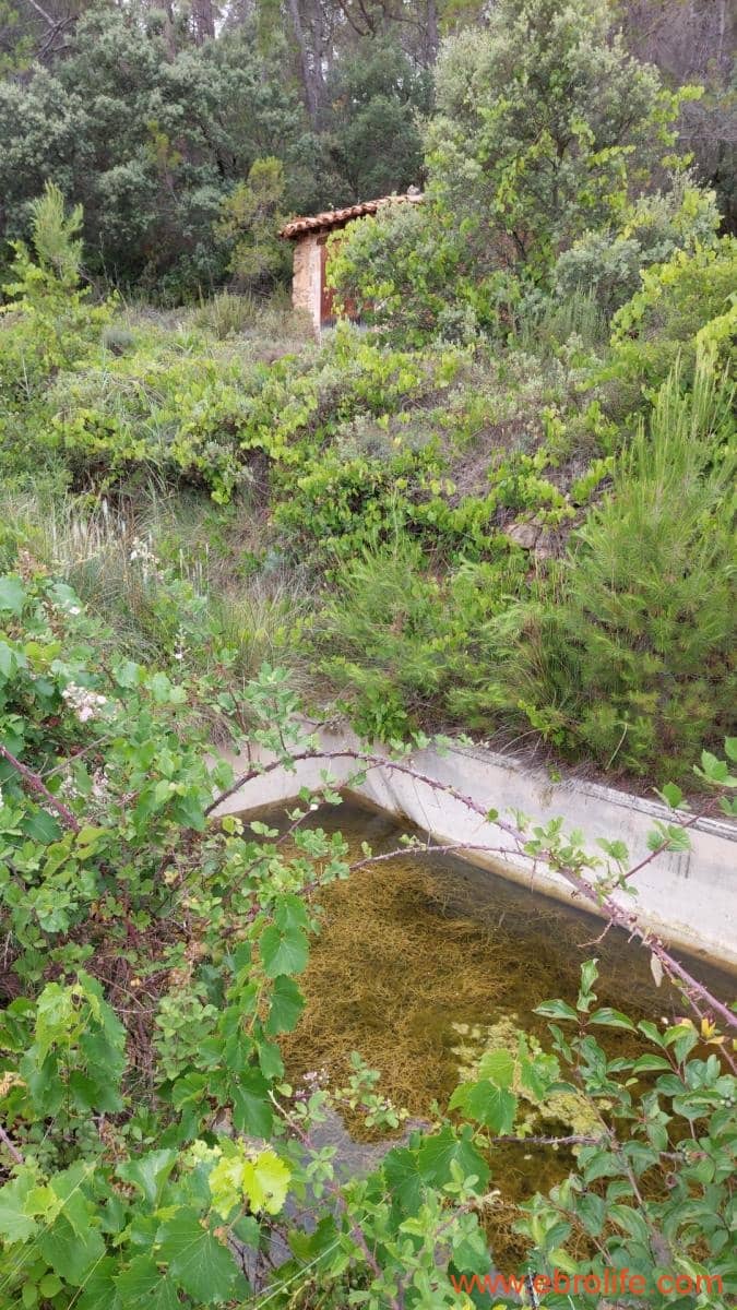 1 bedroom Finca/Country House for sale in Monroyo - € 390,000 (Ref: 8433718)