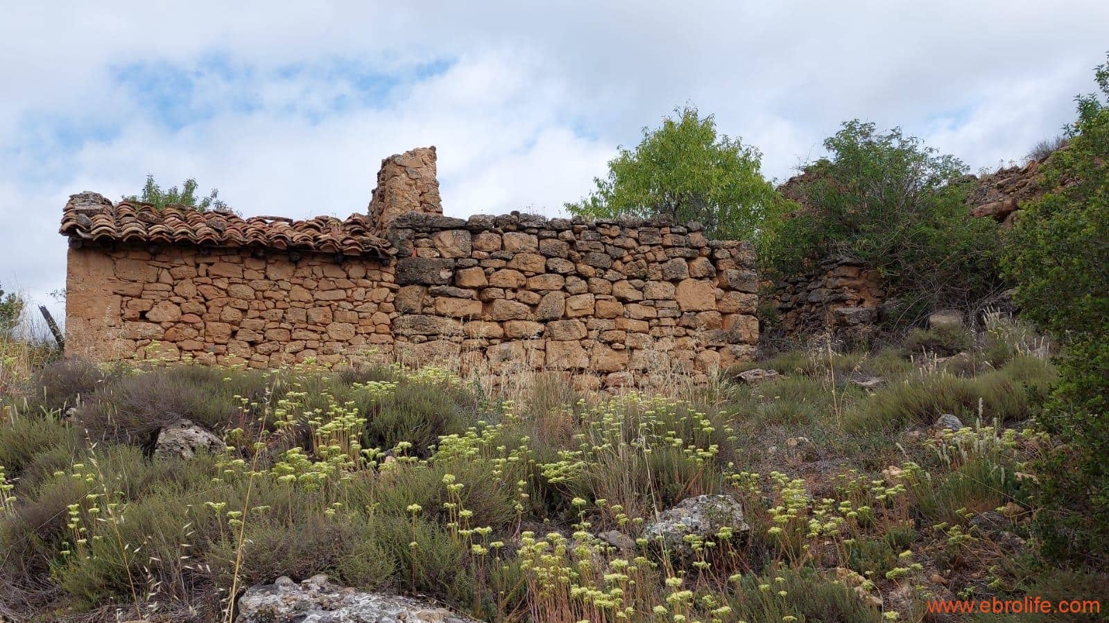 1 bedroom Finca/Country House for sale in Monroyo - € 390,000 (Ref: 8433718)