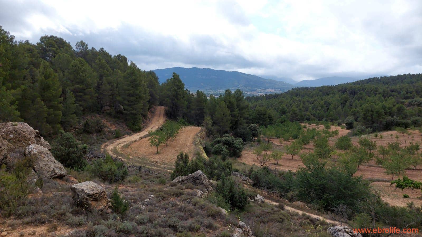 1 bedroom Finca/Country House for sale in Monroyo - € 390,000 (Ref: 8433718)