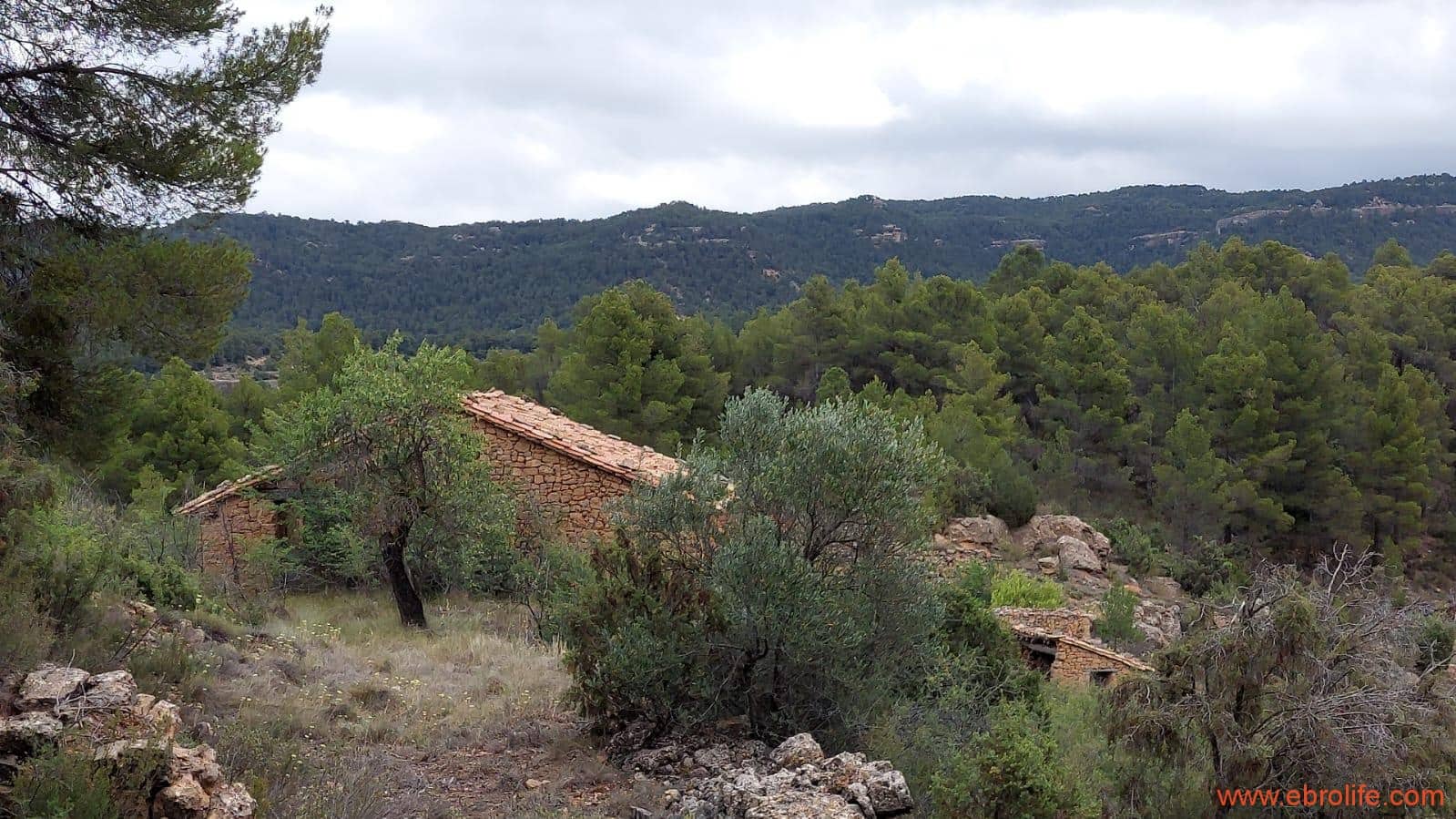 1 bedroom Finca/Country House for sale in Monroyo - € 390,000 (Ref: 8433718)