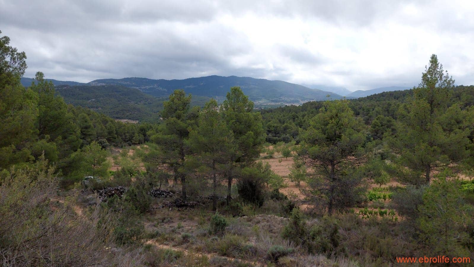 1 bedroom Finca/Country House for sale in Monroyo - € 390,000 (Ref: 8433718)