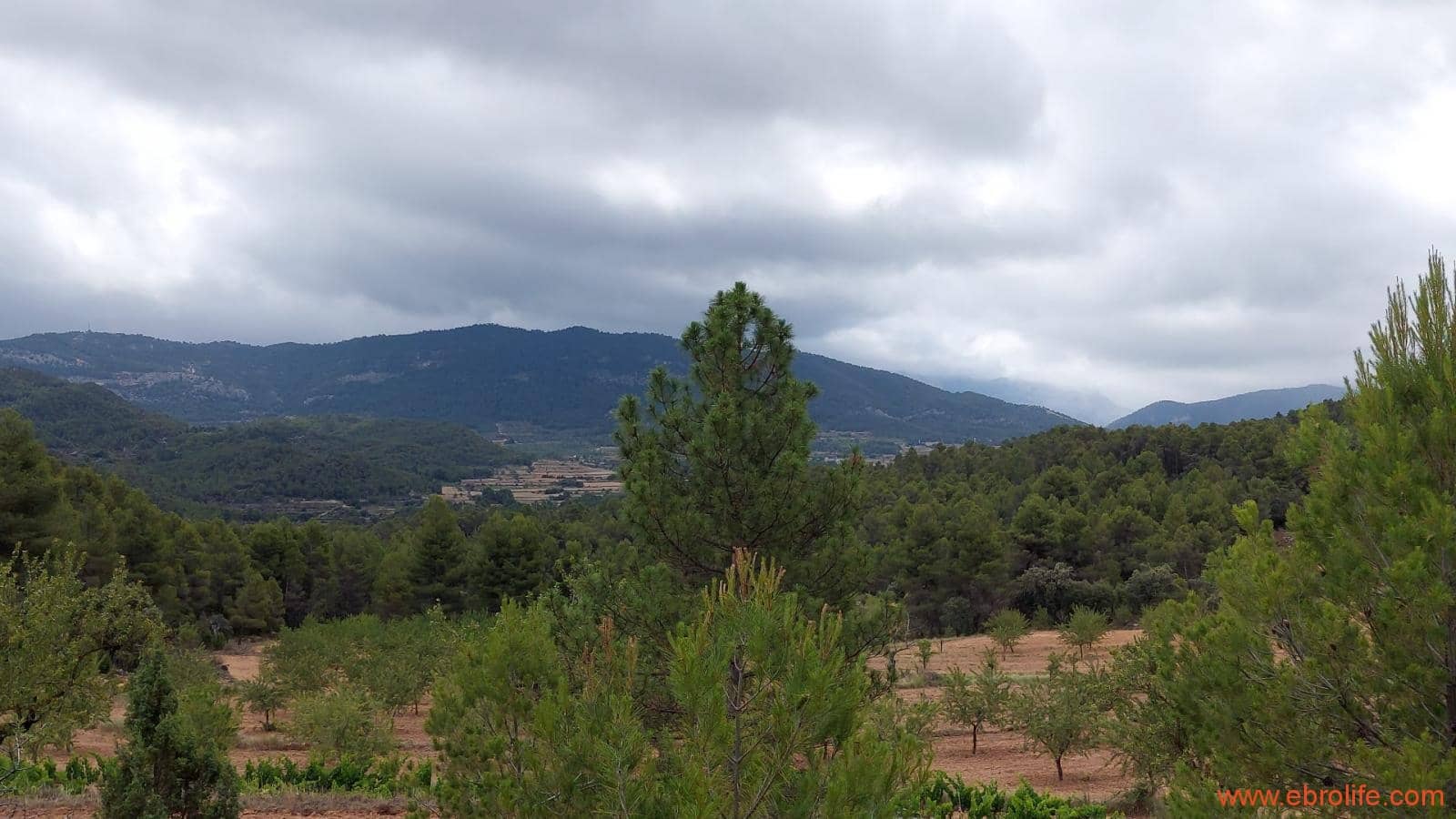 1 bedroom Finca/Country House for sale in Monroyo - € 390,000 (Ref: 8433718)