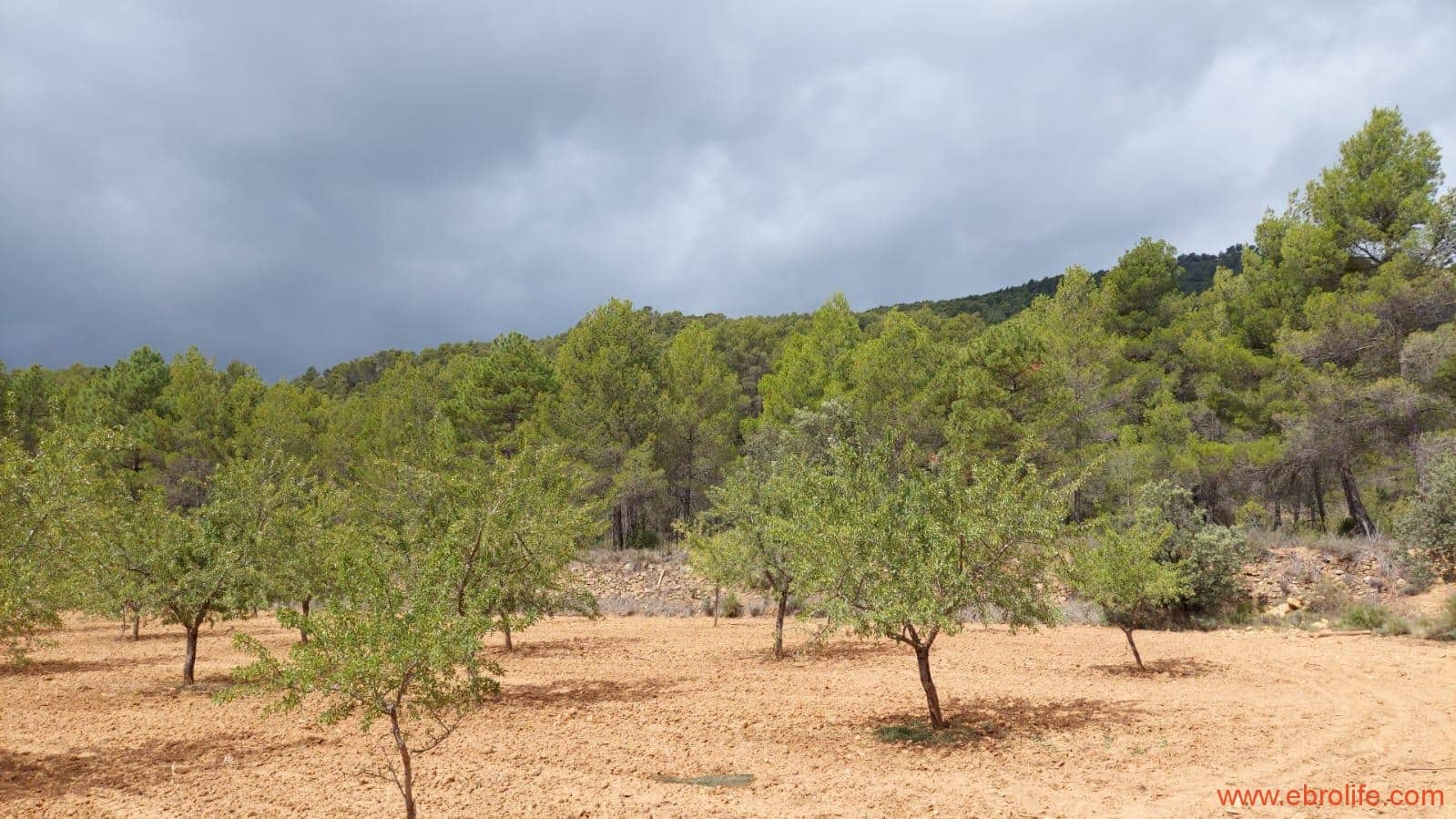 1 bedroom Finca/Country House for sale in Monroyo - € 390,000 (Ref: 8433718)