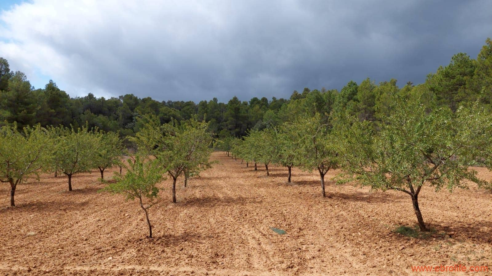 1 bedroom Finca/Country House for sale in Monroyo - € 390,000 (Ref: 8433718)