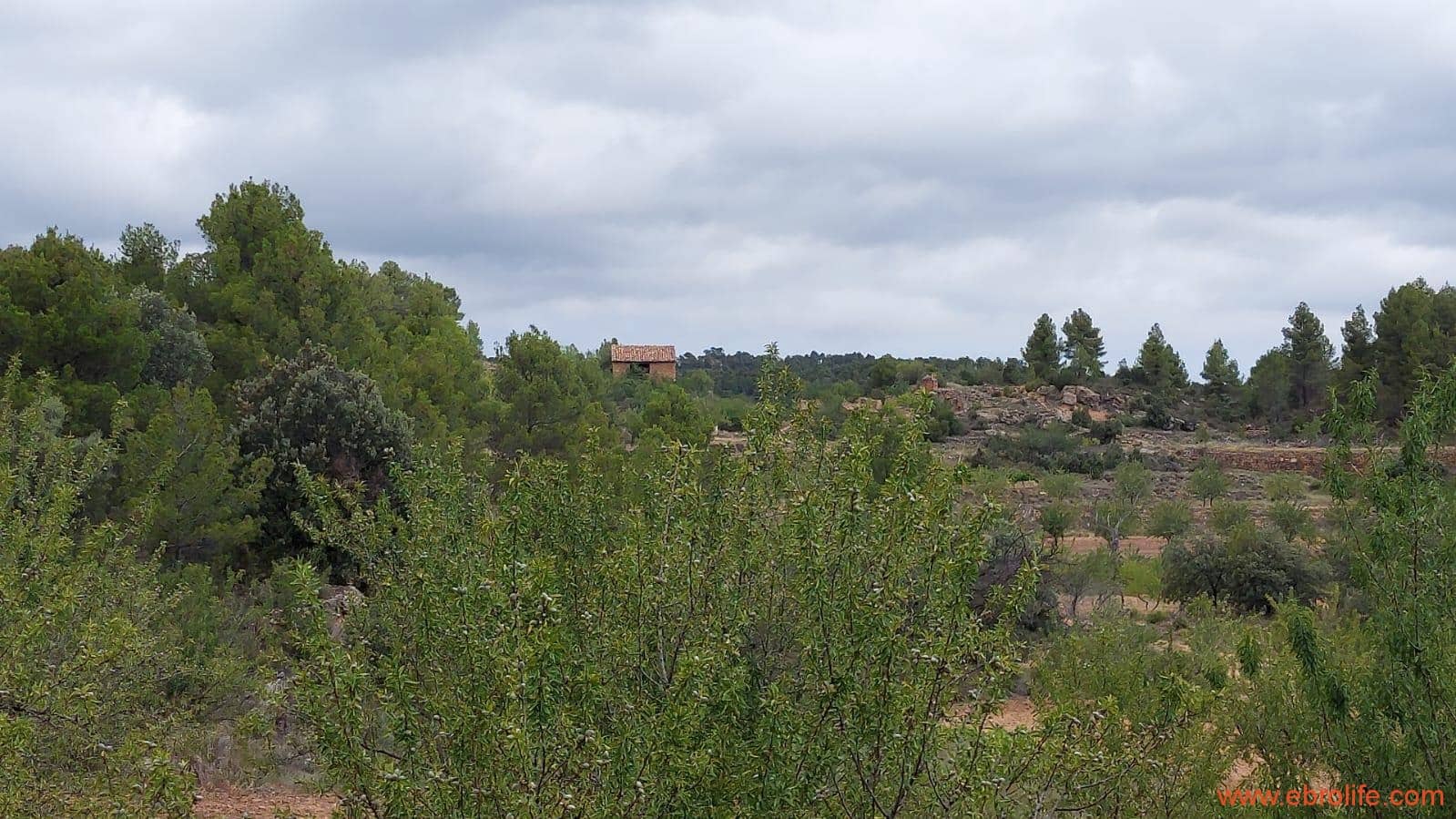 1 bedroom Finca/Country House for sale in Monroyo - € 390,000 (Ref: 8433718)