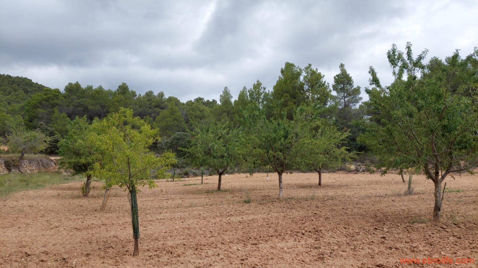 1 bedroom Finca/Country House for sale in Monroyo - € 390,000 (Ref: 8433718)