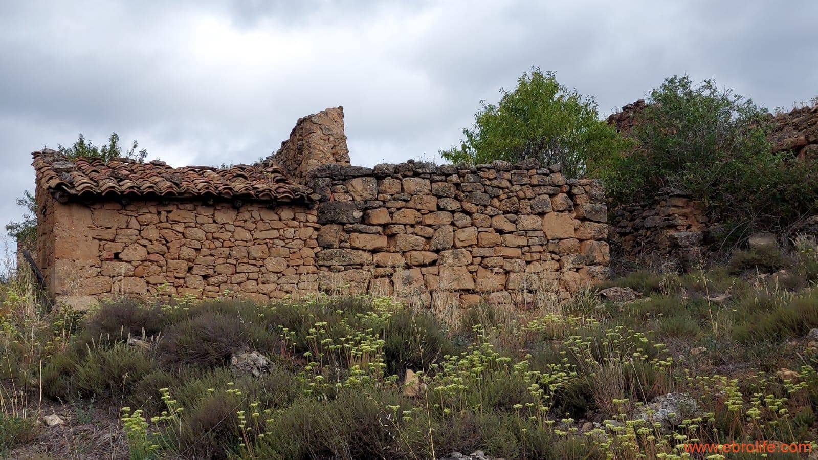 1 bedroom Finca/Country House for sale in Monroyo - € 390,000 (Ref: 8433718)